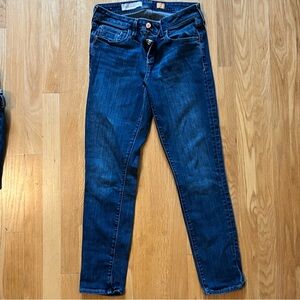 Anthropologie Pilcro Stet Skinny Jeans Size 29